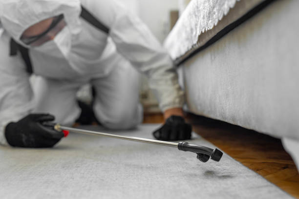 Professional Bed Bug Control technician working in Miramar, FL
